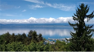 appartement en frais reduits à la vente -   74200  THONON LES BAINS, surface 110 m2 vente appartement en frais reduits - LPI3107071